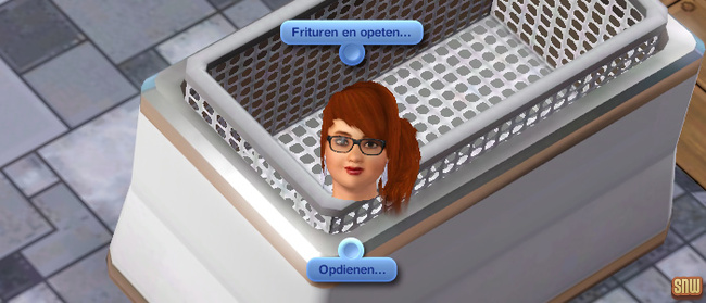 Koning Krokant Pro Friteuse en Vrieshap Pro IJsmachine (premium content voor De Sims 3)