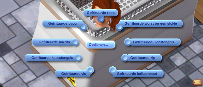 Koning Krokant Pro Friteuse en Vrieshap Pro IJsmachine (premium content voor De Sims 3)