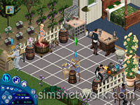 The Sims Abracadabra