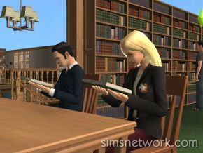 The Sims 2 University