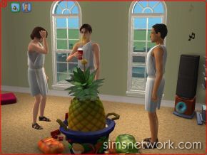 The Sims 2 University