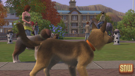 The Sims 3 Pets