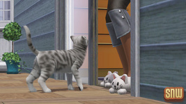 The Sims 3 Pets