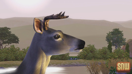 The Sims 3 Pets