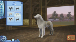 The Sims 3 Pets