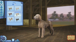 The Sims 3 Pets