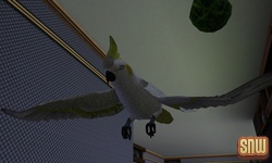 De Sims 3 Beestenbende: Vogels