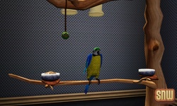 De Sims 3 Beestenbende: Vogels