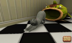 De Sims 3 Beestenbende: Oopsie-Daisy de kat