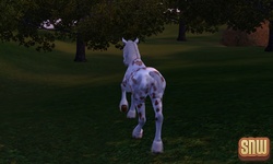 De Sims 3 Beestenbende: GooGoo het paard