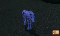 De Sims 3 Beestenbende: GooGoo het paard