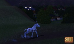 De Sims 3 Beestenbende: GooGoo het paard