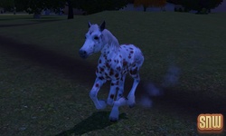 De Sims 3 Beestenbende: GooGoo het paard