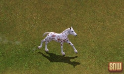 De Sims 3 Beestenbende: GooGoo het paard