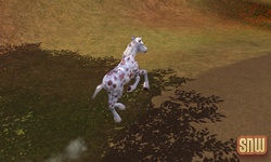 De Sims 3 Beestenbende: GooGoo het paard