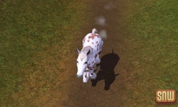 De Sims 3 Beestenbende: GooGoo het paard