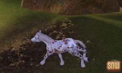 De Sims 3 Beestenbende: GooGoo het paard