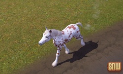 De Sims 3 Beestenbende: GooGoo het paard