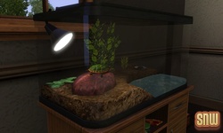 De Sims 3 Beestenbende: Schildpad