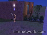 The Sims 2