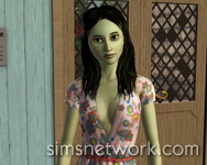 De Sims 3 Hidden Springs